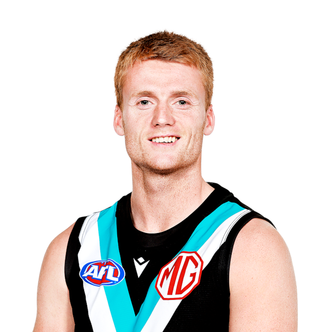 Willem Drew profile picture